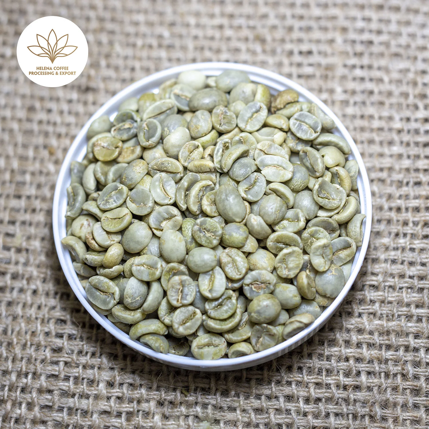 Vietnam Wet Processed Arabica Green Coffee (Fully Washed) – Grade 1 (S16, S18)