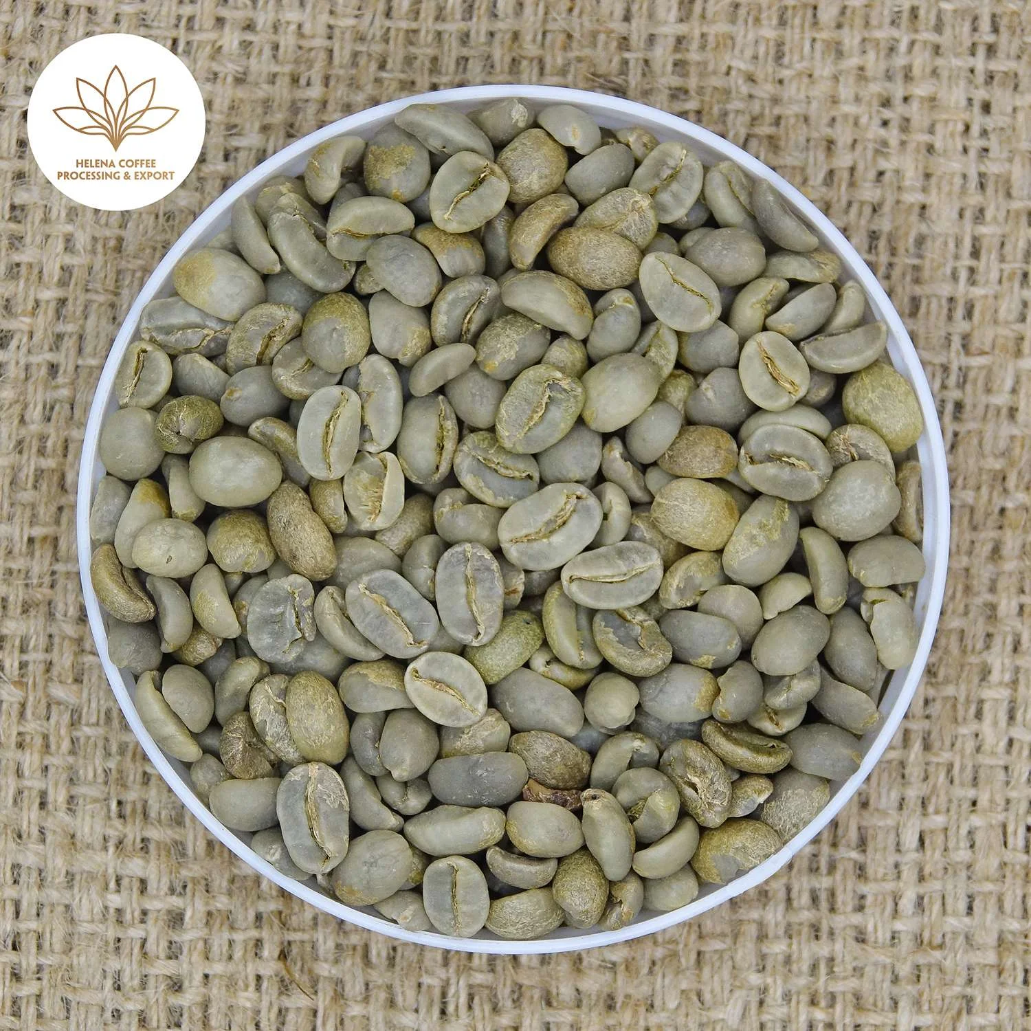 Vietnam Arabica Honey Coffee Beans (S16-S18)