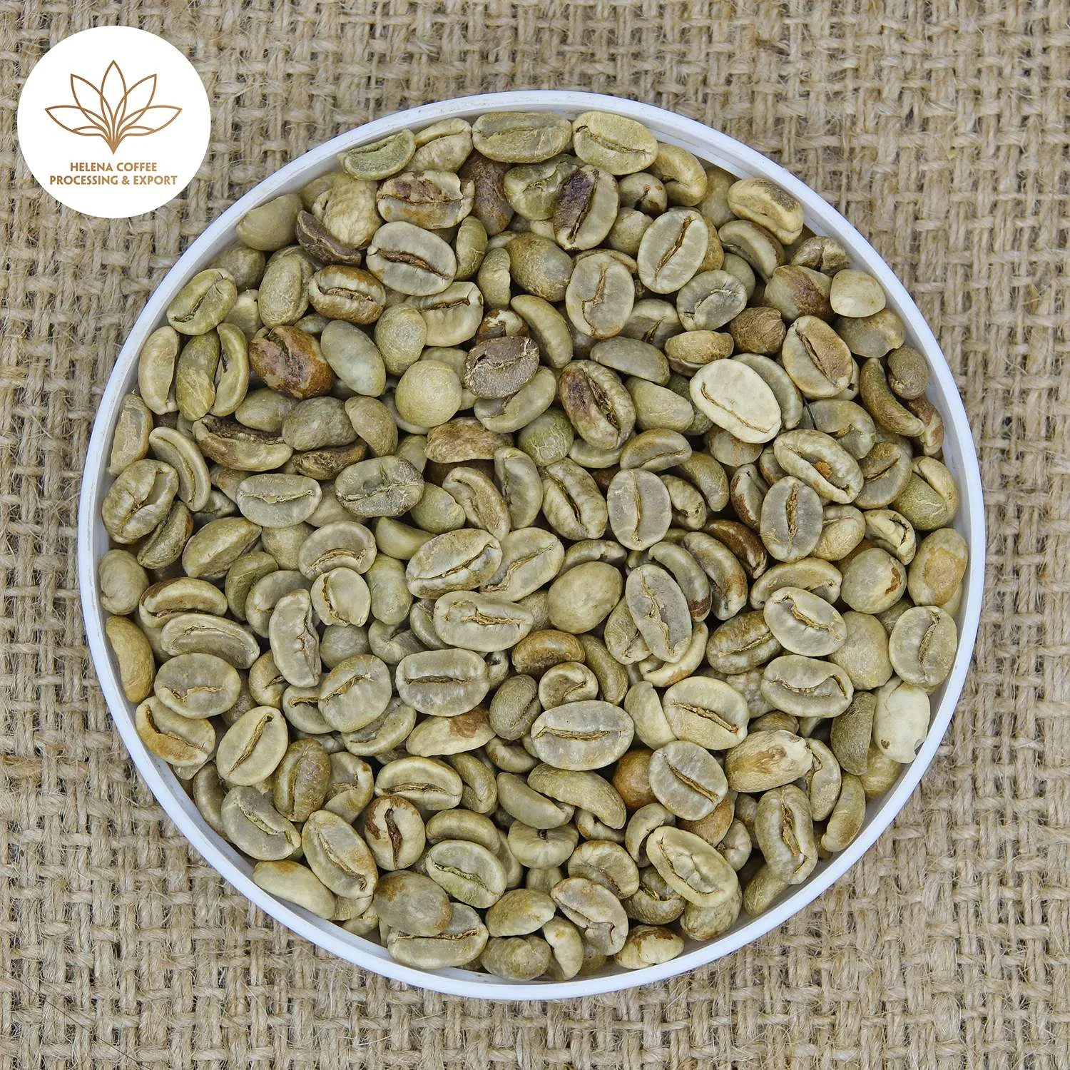 Natural Arabica Coffee Beans | Arabica Fermented Natural Processing | Specialty Grade