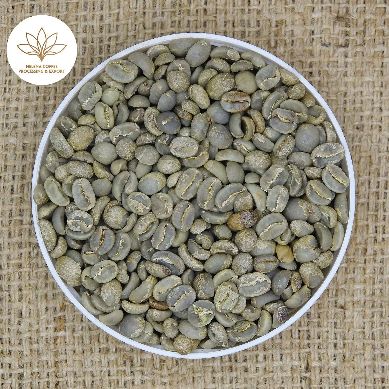 Yellow Bourbon Coffee Beans – Grade 1 | Vietnam Bourbon Specialty