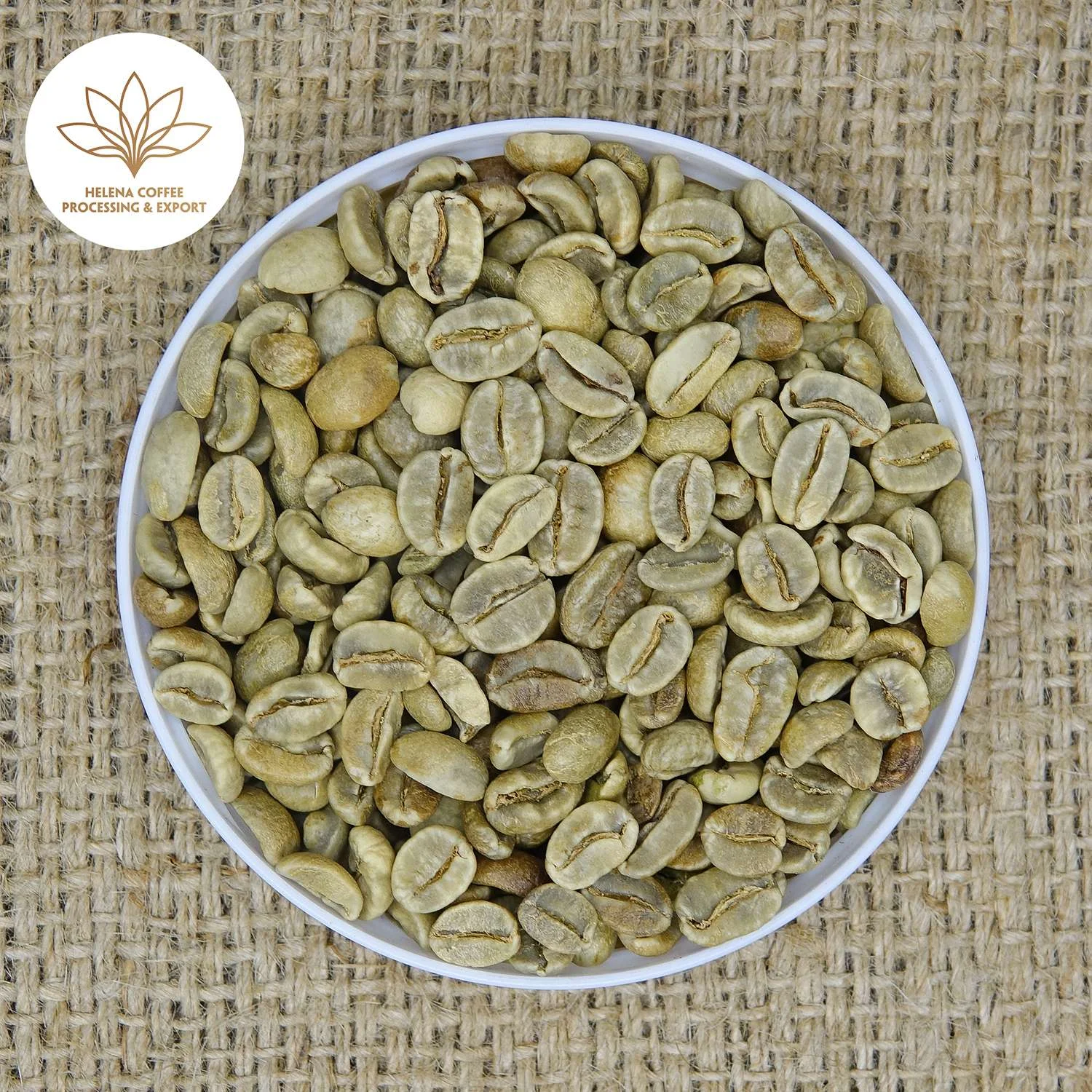 Specialty Arabica Honey Coffee Bean