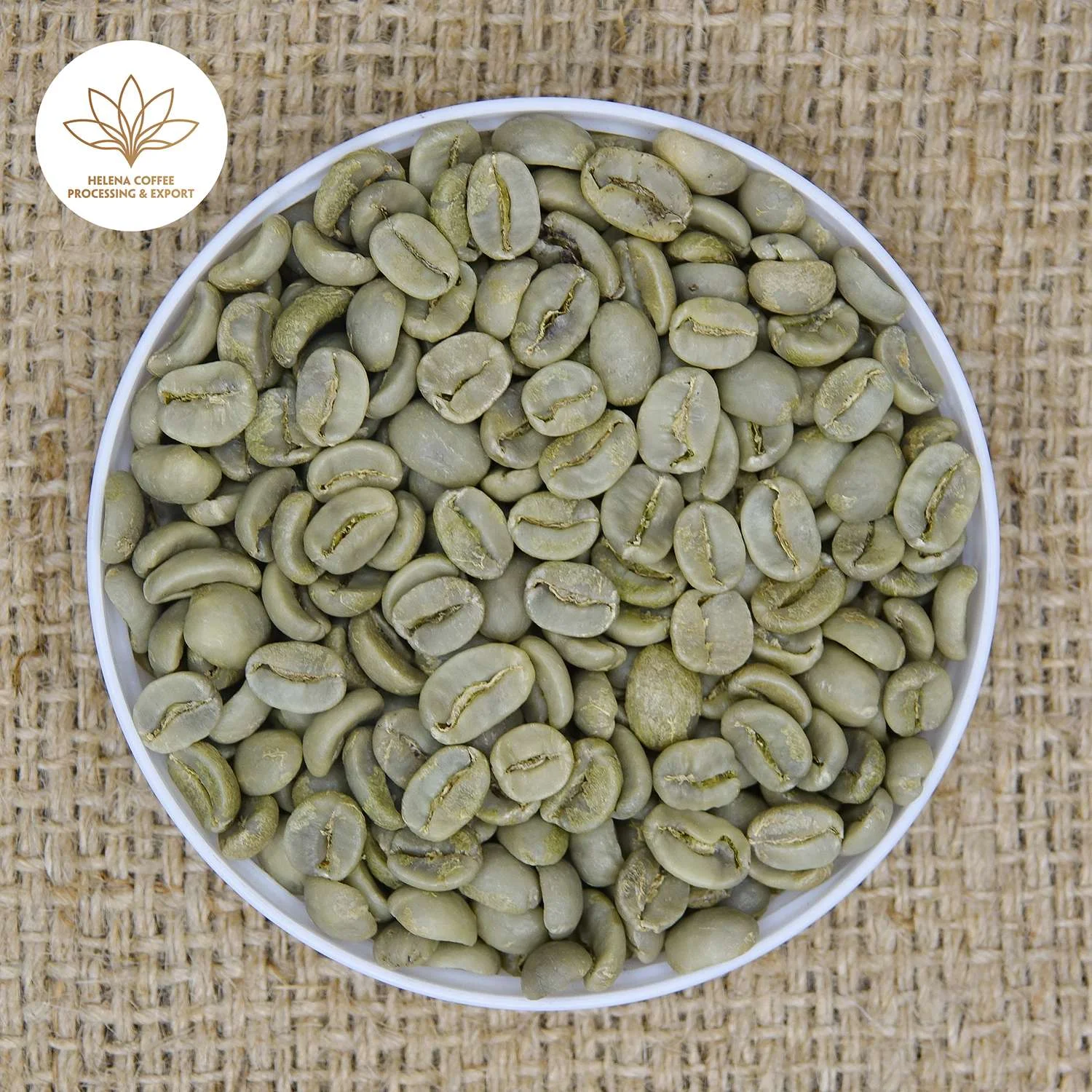 Arabica Catimor Fully Washed Grade 1 – S18, S16