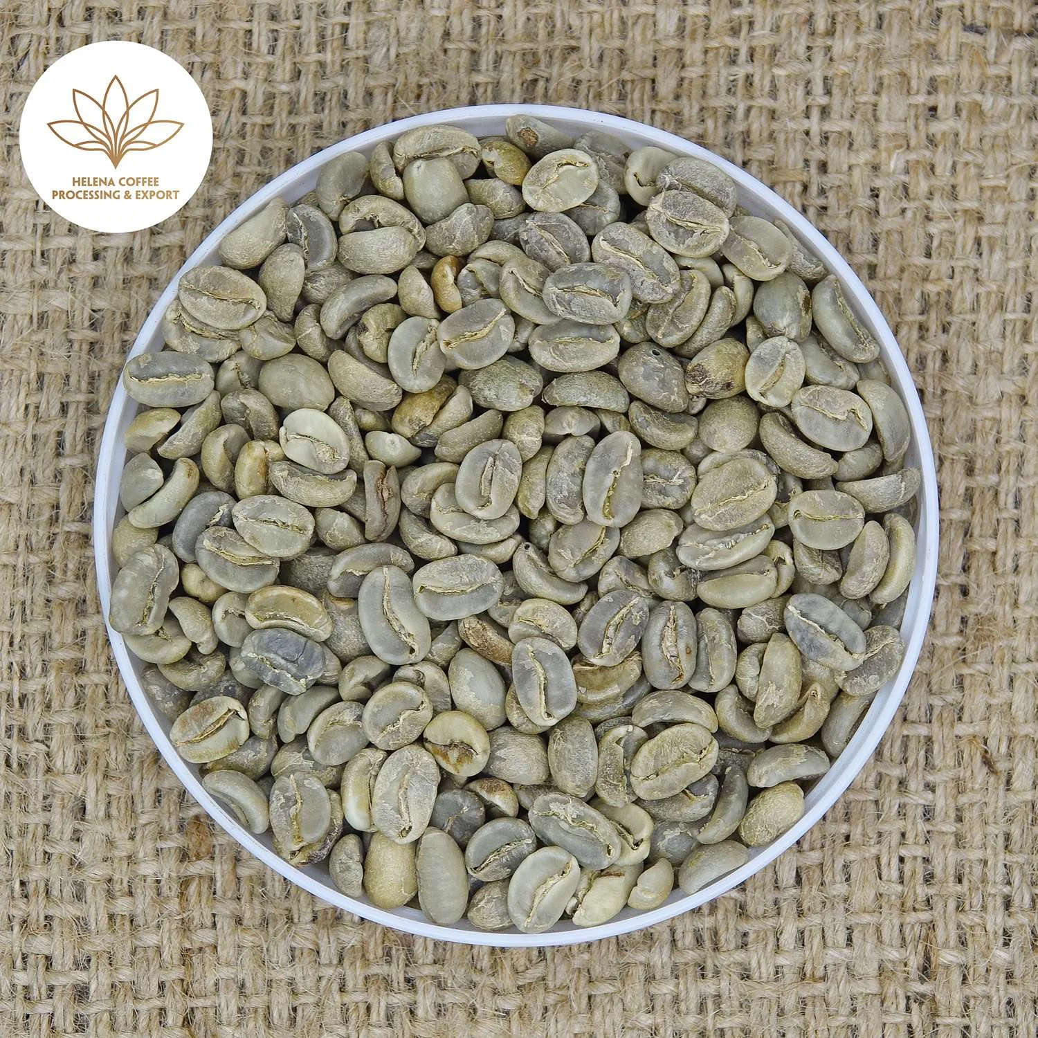 Arabica Natural Processed Coffee Beans – S18, S16 | Vietnam Arabica Coffee