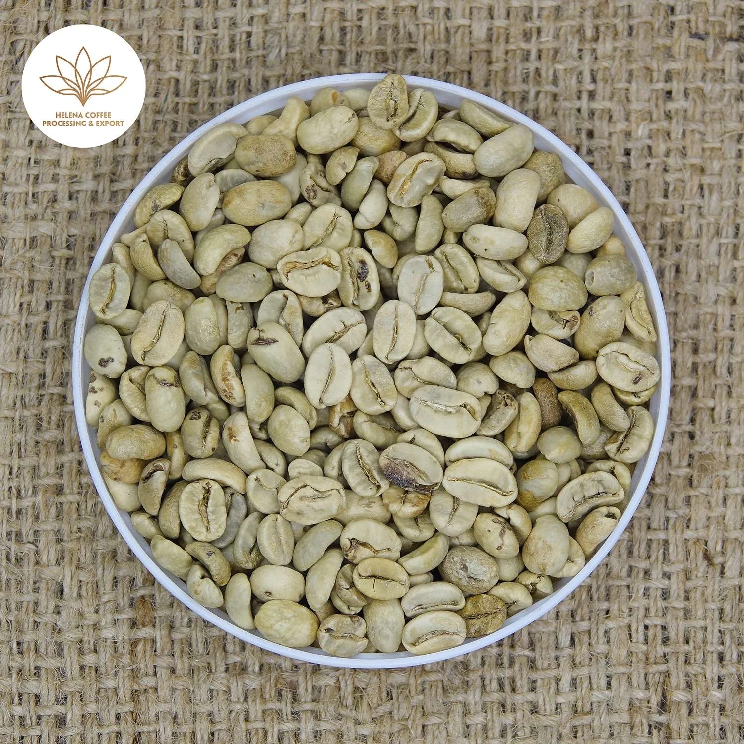 Arabica Coffee Fully Washed Grade 2 – Commercial Arabica Coffee