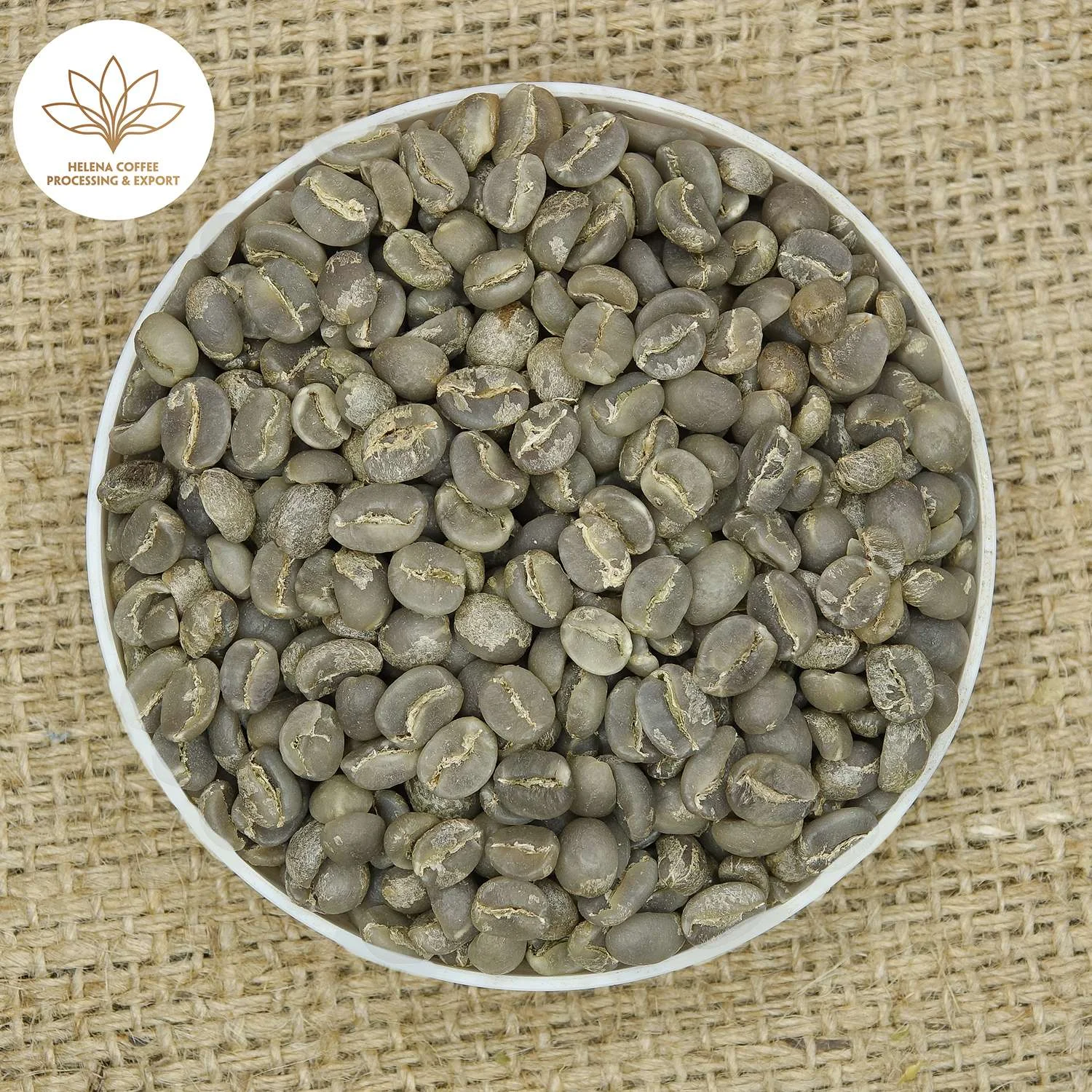 Moka Coffee | Specialty Arabica Moka Coffee Beans S16+