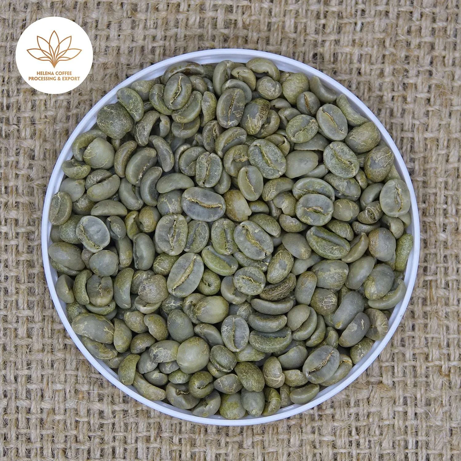 Arabica S18 Fully Washed | Arabica Specialty | Lam Dong Origin
