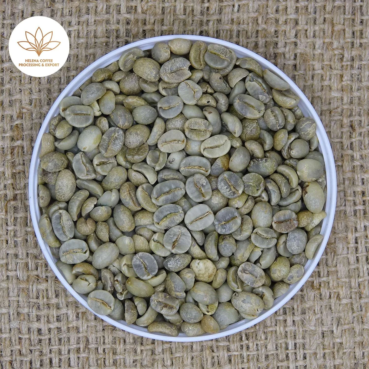 Arabica Grade 1/S18 Washed Coffee Beans | Vietnam Arabica
